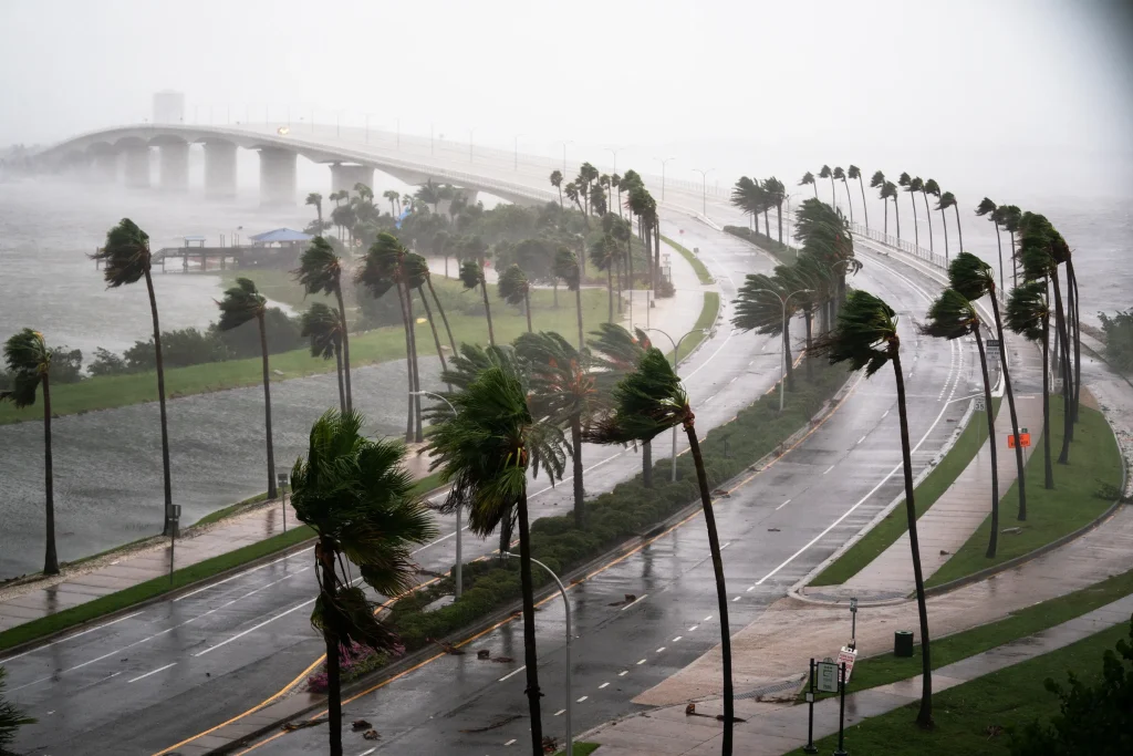 Hurricane Preparedness Services for Sarasota Homes