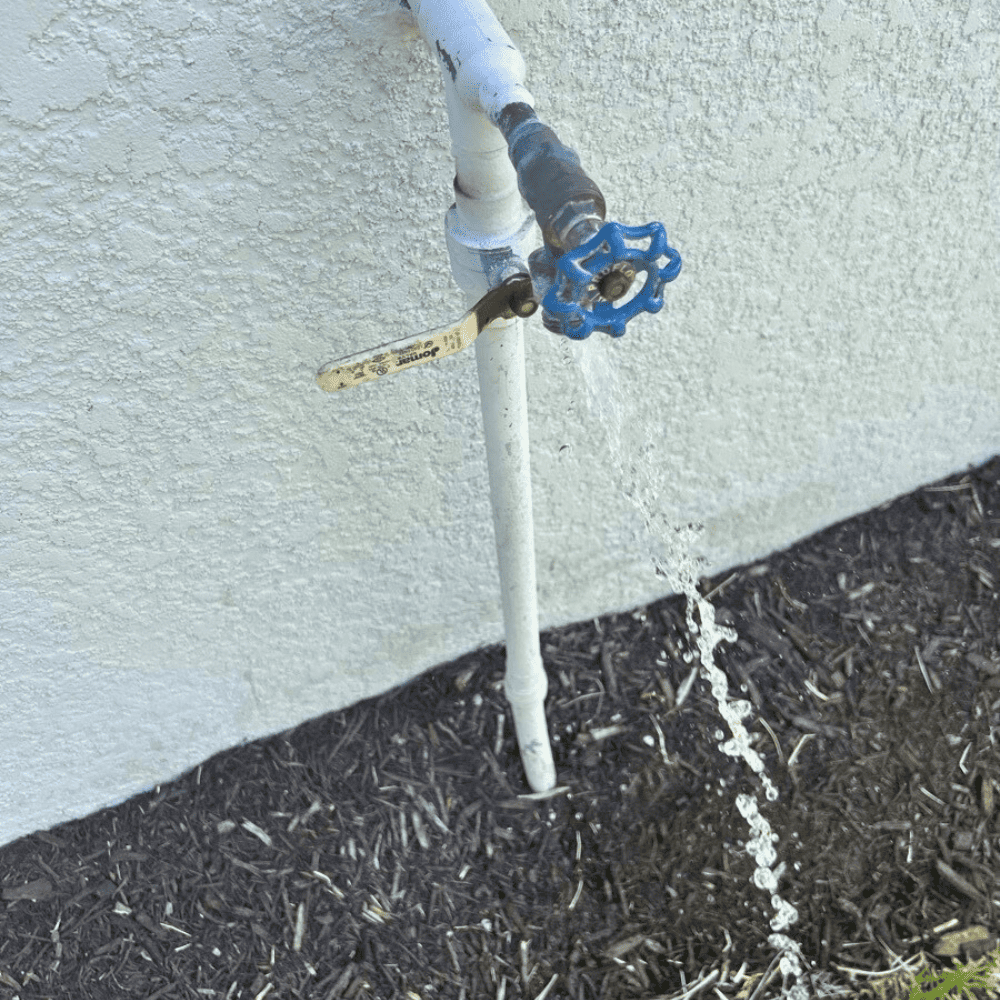 Lines Drained During Home Maintenance Inspection in Sarasota