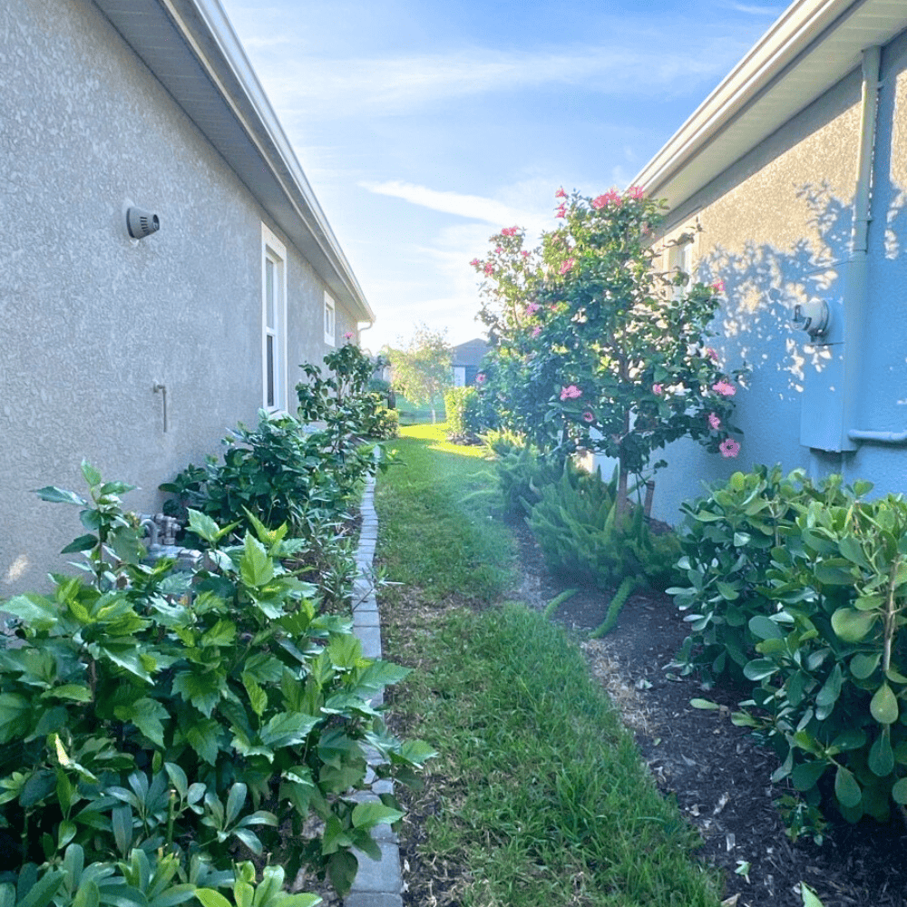 Side View of Landscaped Yard in Sarasota Home