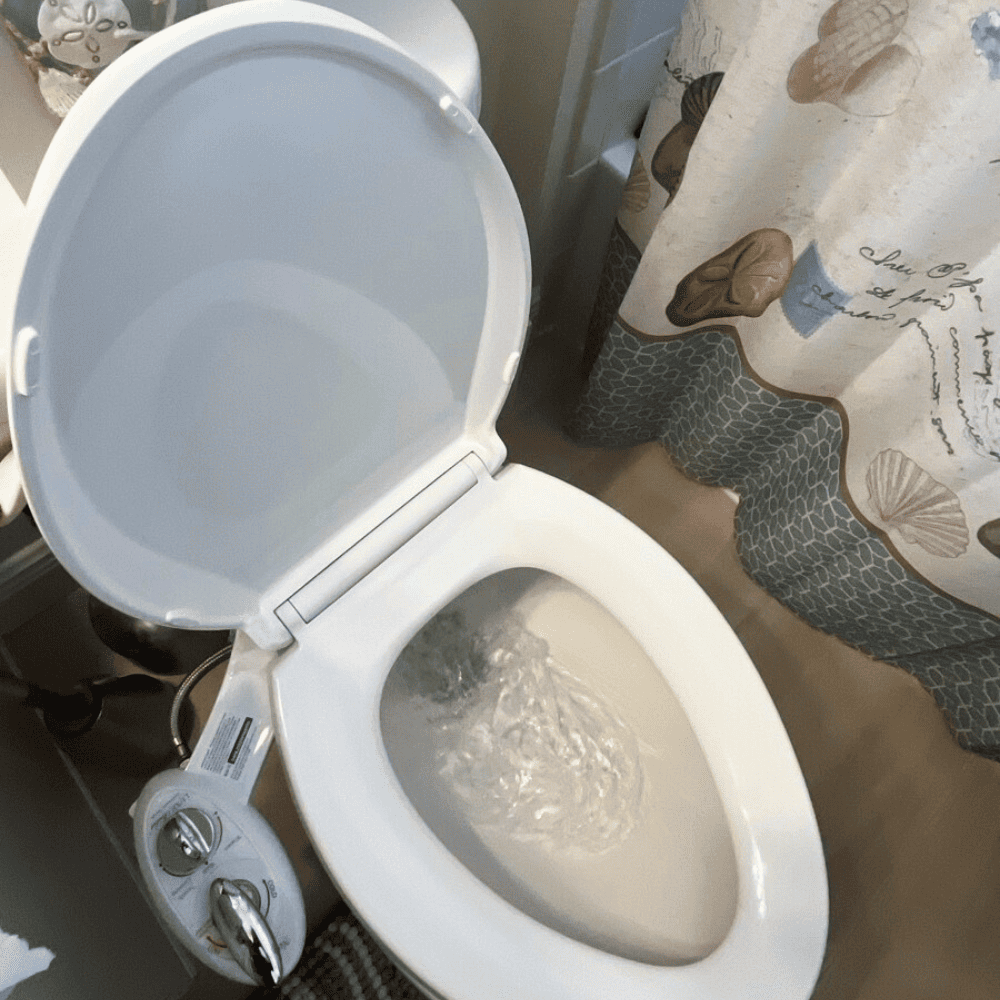 Toilet Flush Test During Home Watch Inspection in Sarasota